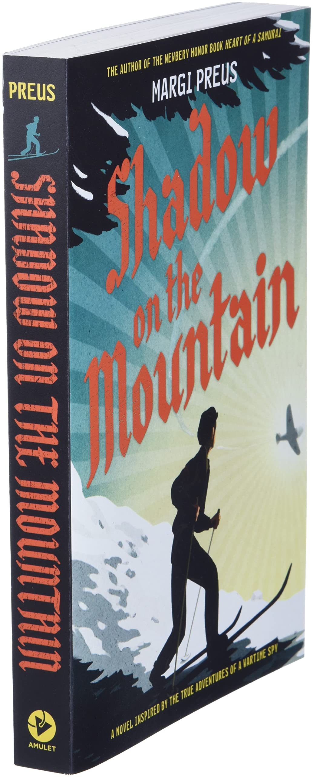 Shadow on the Mountain