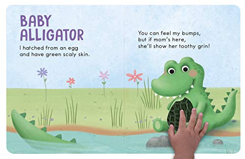 Baby Animals: A Touch and Feel Book - Children's Board Book - Educational
