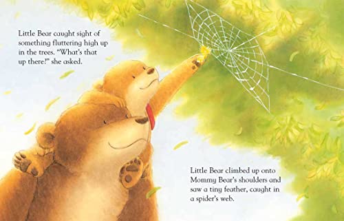 I Love You More Each Day (Padded Board Books for Babies)