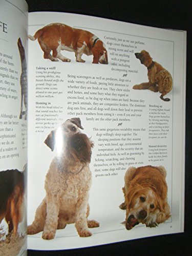 Know Your Dog