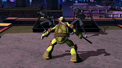 Teenage Mutant Ninja Turtles (Renewed)
