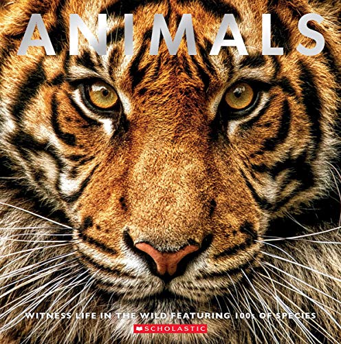 Animals: Witness Life in the Wild Featuring 100s of Species - 3637