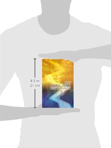 New Testament: New International Version, Outreach, God's Word