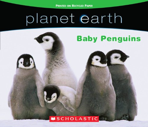 Planet Earth: Baby Penguins - 440