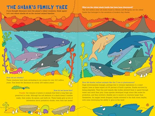 100 Questions About... Sharks