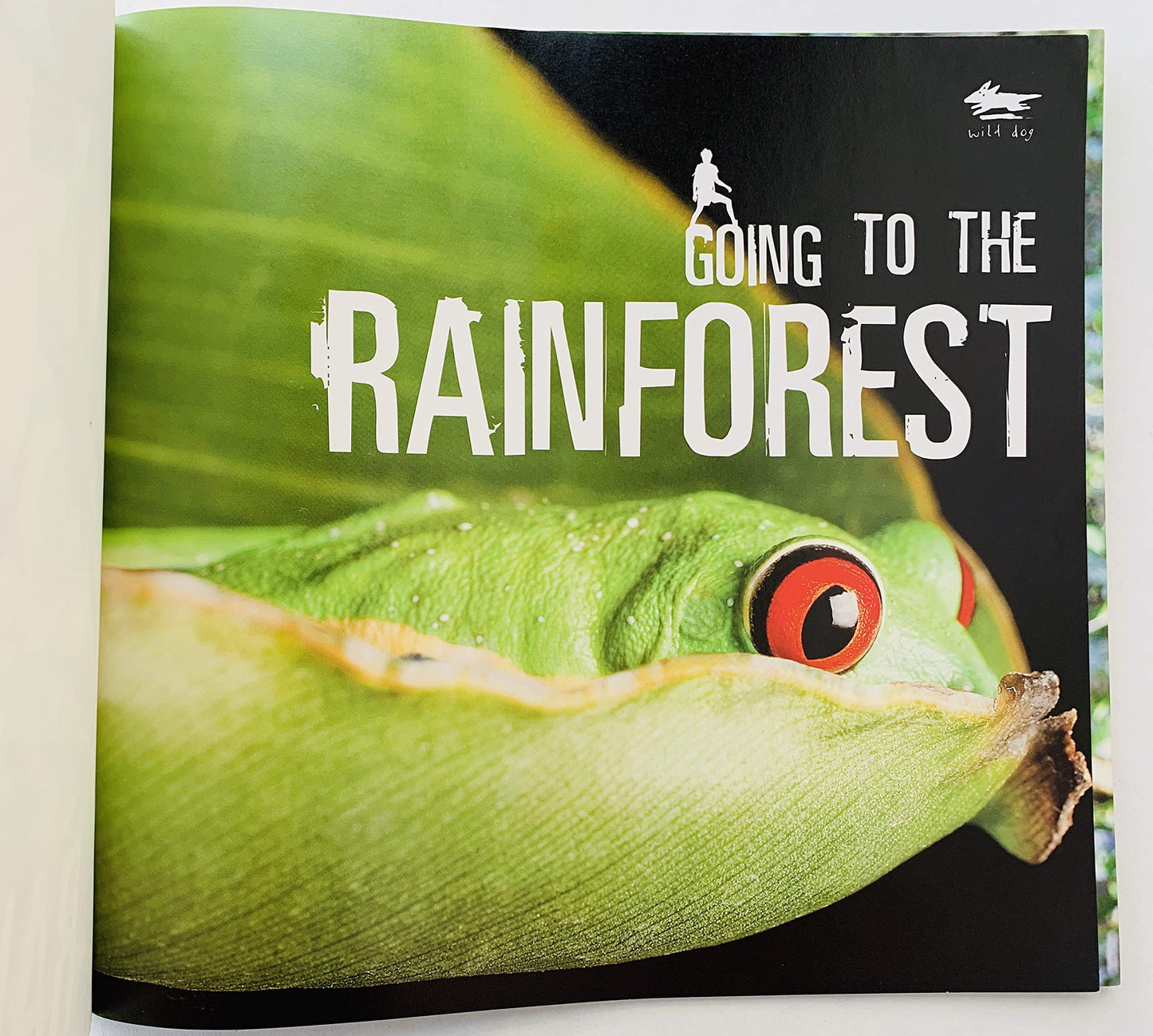 Going to the Rainforest