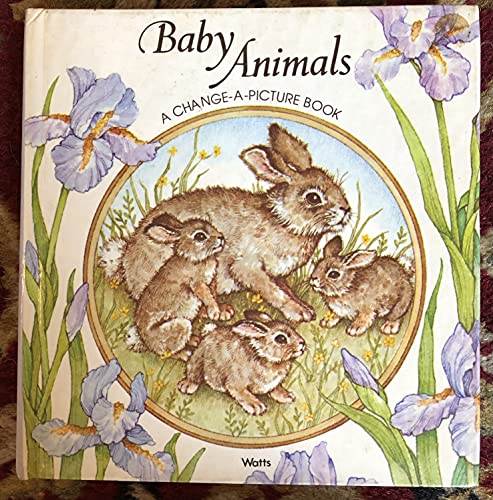 Baby Animals