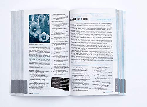 NRSV, LIVE, Catholic Edition, Youth Bible, Paperback: Youth Bible, Catholic Edition