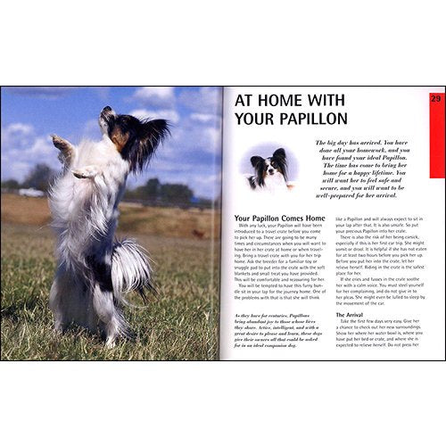 Papillons: Everything About Purchase, Care, Nutrition, Behavior, and Training (Complete Pet Owner's Manual)