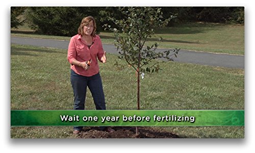 How to Grow Anything: Your Best Garden and Landscape in 6 Lessons