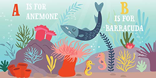 O Is for Ocean