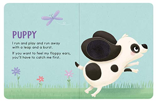 Baby Animals: A Touch and Feel Book - Children's Board Book - Educational