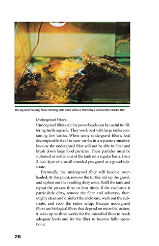 Red-Eared Sliders: From the Experts at Advanced Vivarium Systems (CompanionHouse Books) Choosing a Turtle, Diet, Housing, Breeding, Health, and Painted, Mud, and Musk Turtles