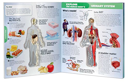 EXPLORE THE HUMAN BODY