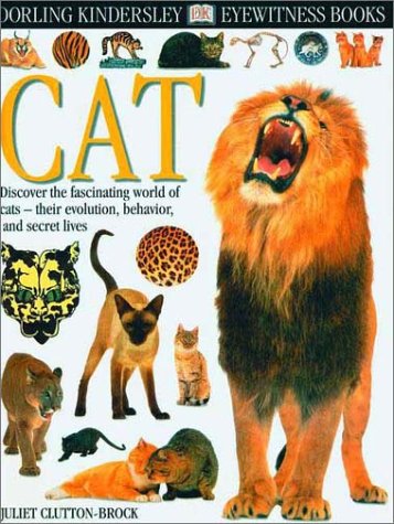Eyewitness: Cat