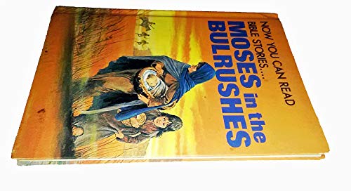 Moses in the Bulrushes (Now you can read--Bible Stories)