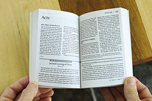 NIV, Essentials of the Christian Faith, Paperback: Knowing Jesus and Living the Christian Faith