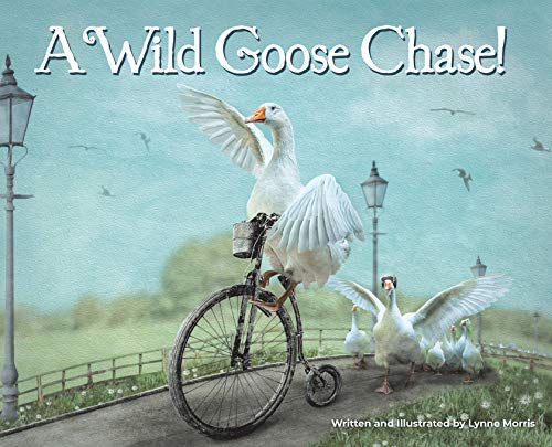 A Wild Goose Chase!