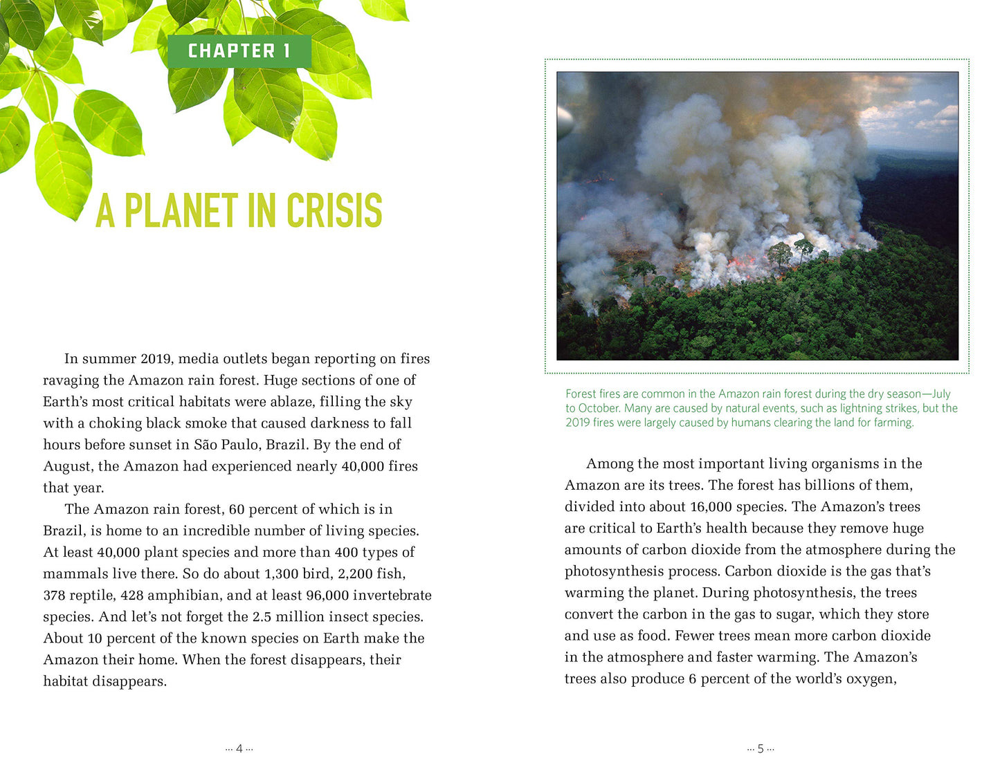 Brink of Extinction: Can We Stop Nature's Decline? (Informed!)