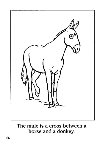 Farm Animals Coloring Book (Dover Little Activity Books)