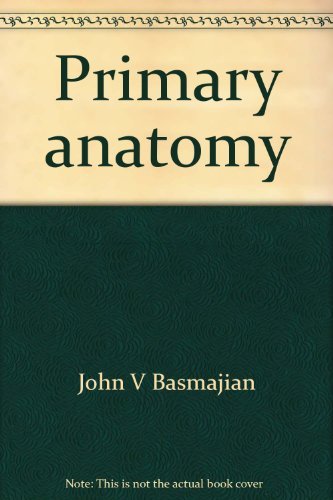 Primary anatomy