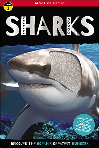 Sharks