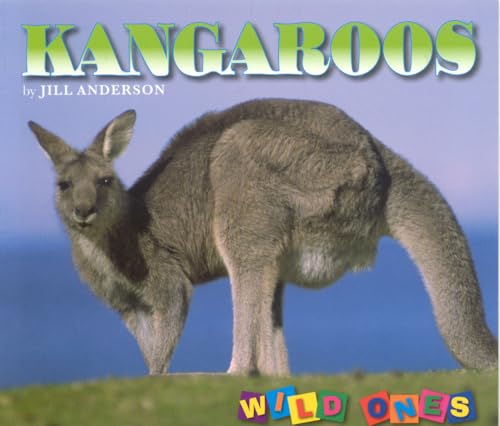Kangaroos (Wild Ones)