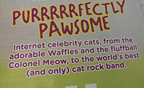 Cattitude, the Coolest Cats on the Internet