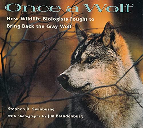 Once A Wolf: How Wildlife Biologists Fought to Bring Back the Gray Wolf
