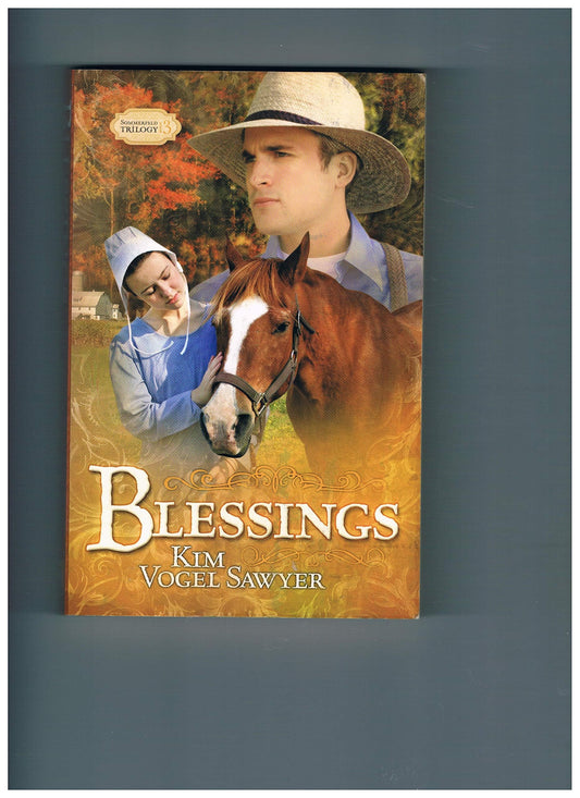 Blessings: Sommerfeld Trilogy #3 (Truly Yours Romance Club #19)