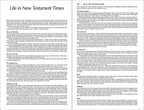 Outreach New Testament: New International Version, Green Forest Path
