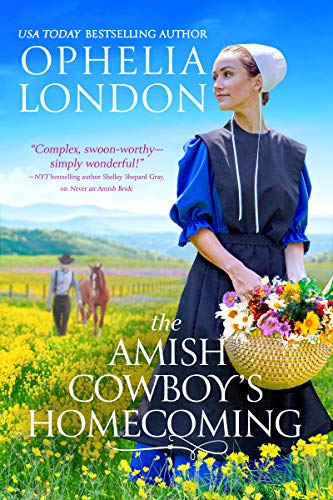 The Amish Cowboys Homecoming (Honey Brook, 2)