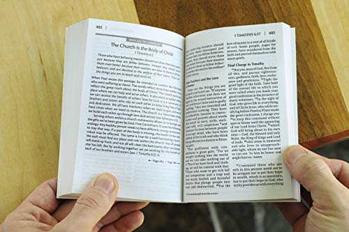 NIV, Essentials of the Christian Faith, Paperback: Knowing Jesus and Living the Christian Faith