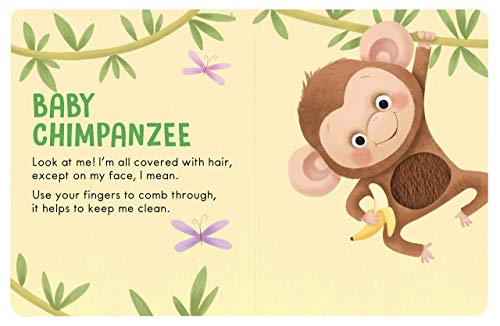 Baby Animals: A Touch and Feel Book - Children's Board Book - Educational
