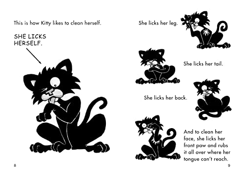 Bad Kitty Gets a Bath