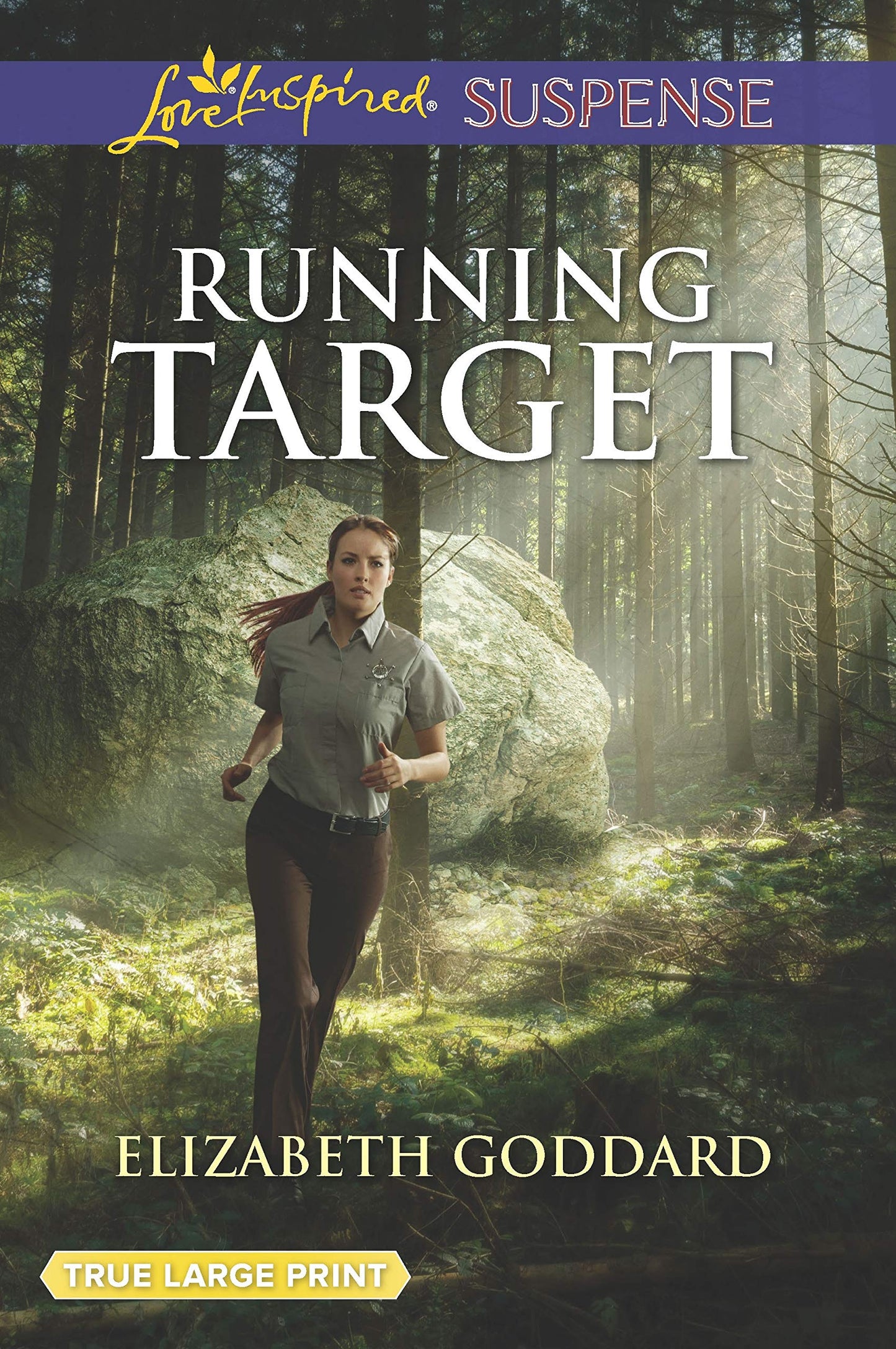 Running Target (Coldwater Bay Intrigue, 4)