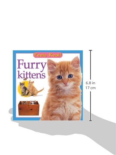 Furry Kittens (Feels Real Books)