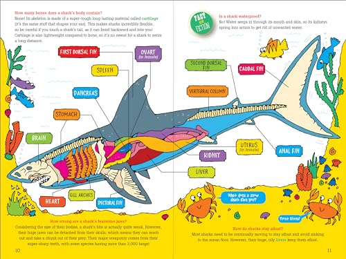 100 Questions About... Sharks