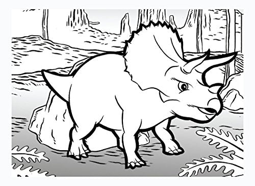 Pukka 8421-Fun Colouring Book