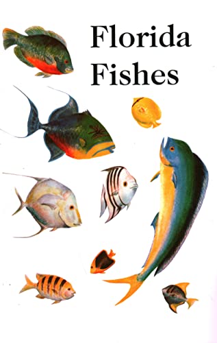 Saltwater Florida Fishes - 5651