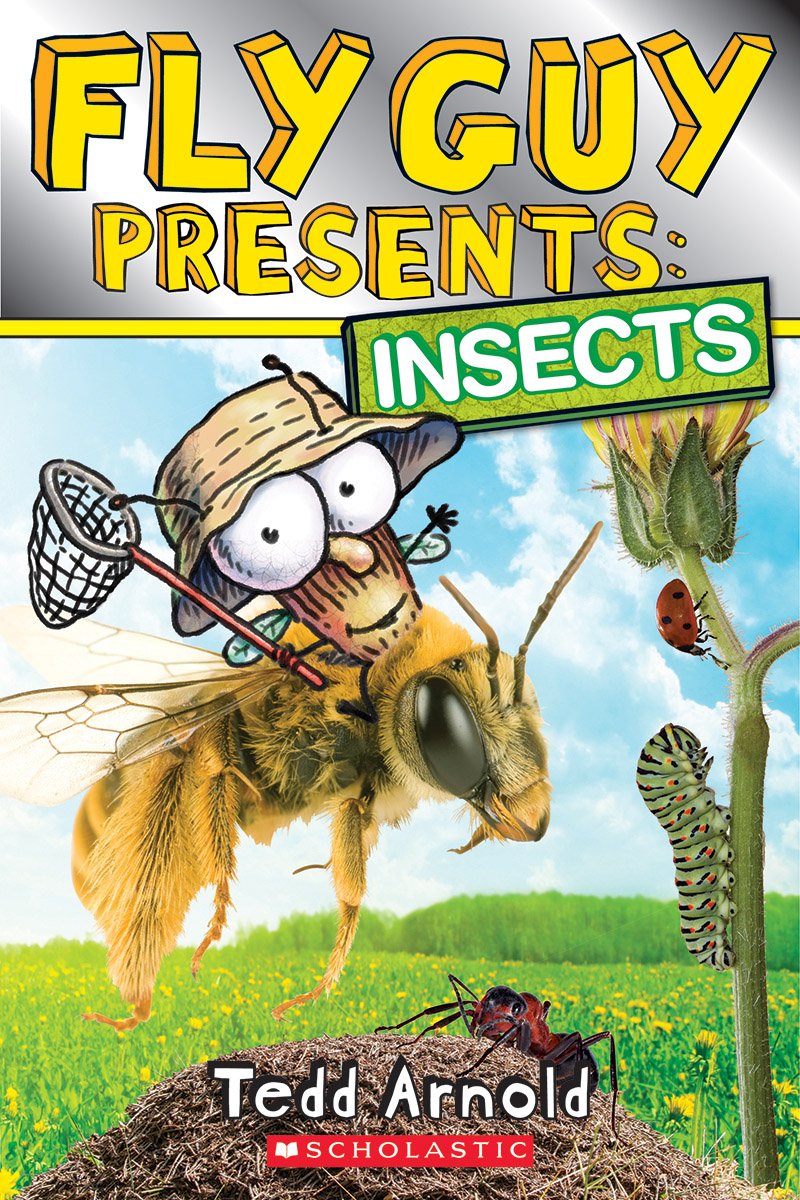 FLY GUY PRESENTS: INSECTS (SCHOL