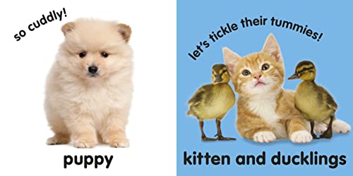 Baby Touch and Feel: Fluffy Animals
