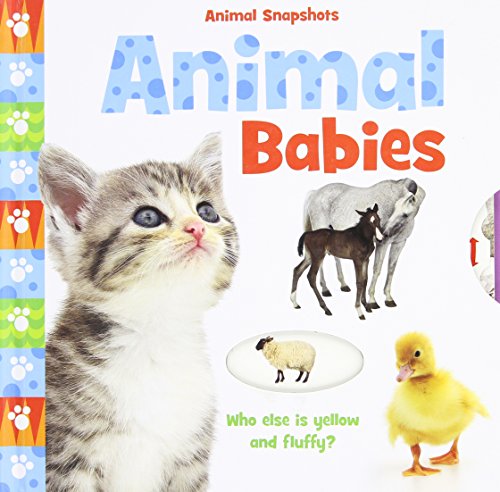 Animal Babies (Animal Snapshots)