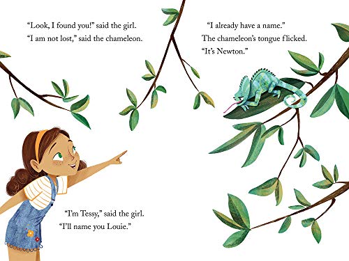 The Kid and the Chameleon (The Kid and the Chameleon: Time to Read, Level 3)