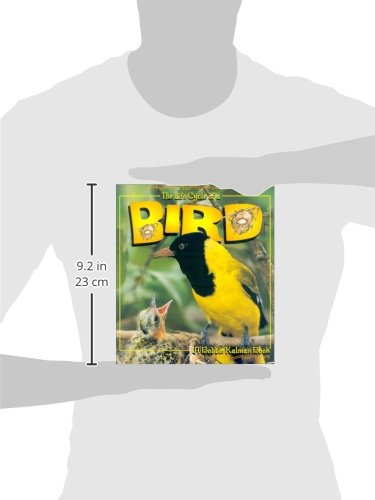 The Life Cycle of a Bird - 8265