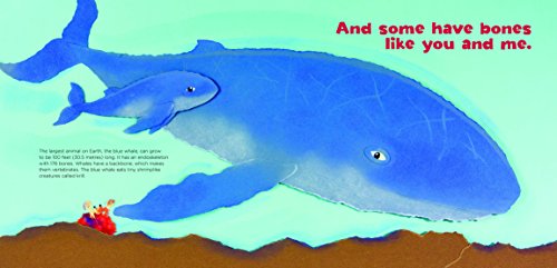 Sea Bones
