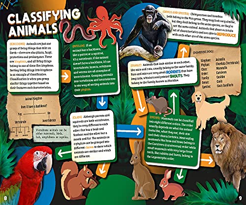 Animals (Smart Charts)