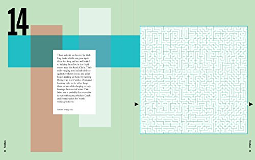 PictoMazes: Find 72 Hidden Animals! - 4677