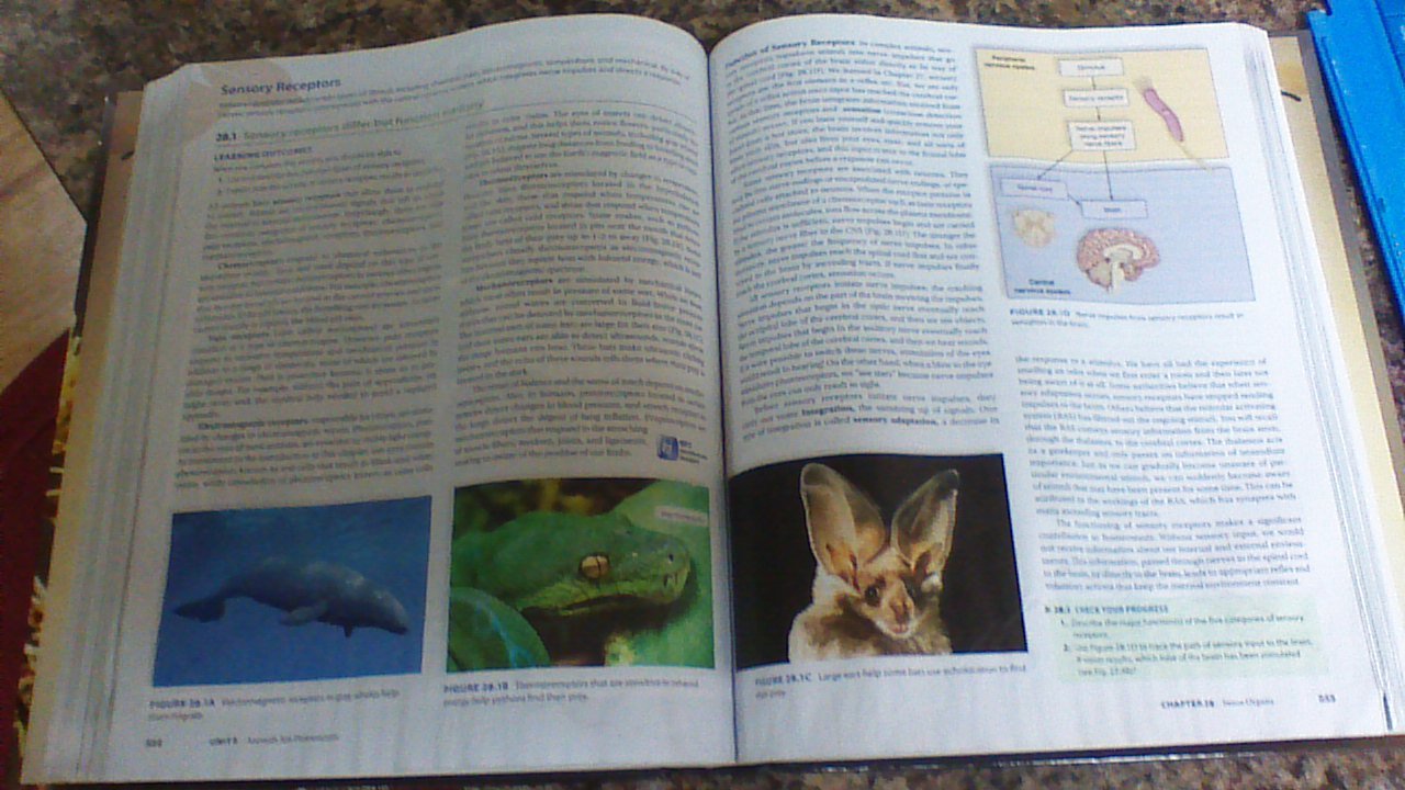 Concepts of Biology - 6641