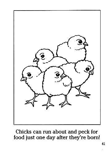 Farm Animals Coloring Book (Dover Little Activity Books)